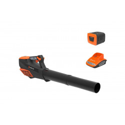 Аккумуляторная воздуходувка YARD FOX 40V SET B 200 B